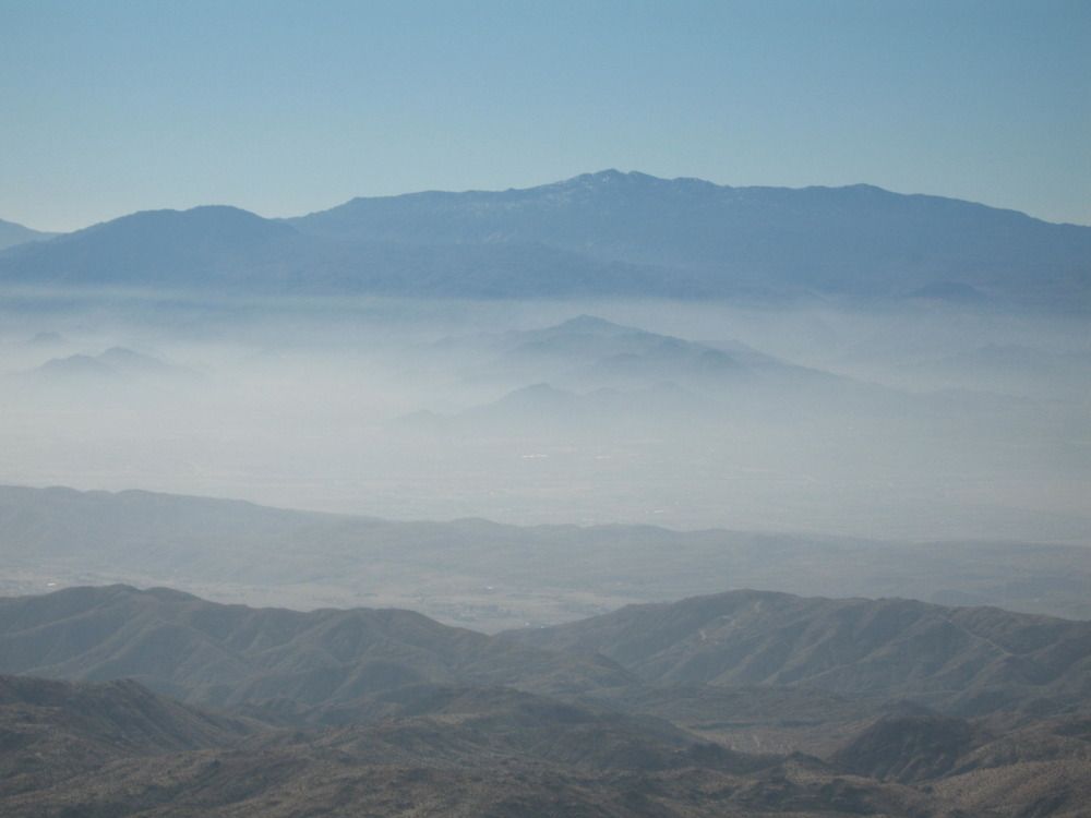 Joshua Tree Haze