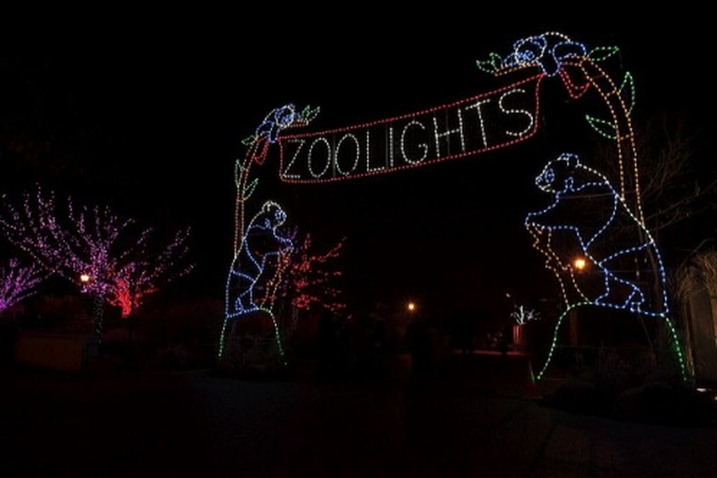 ZooLights-Photo-1.JPG
