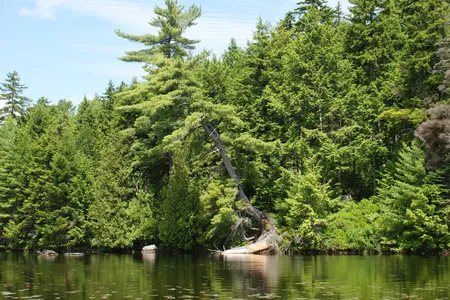 Bearce Lake in Moosehorn Wilderness, Maine