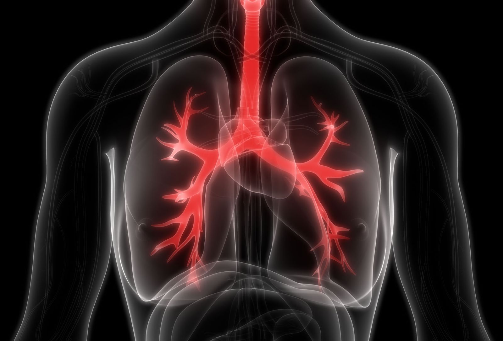 The Deadly Lung Disease You've Probably Never Heard Of - Scientific American