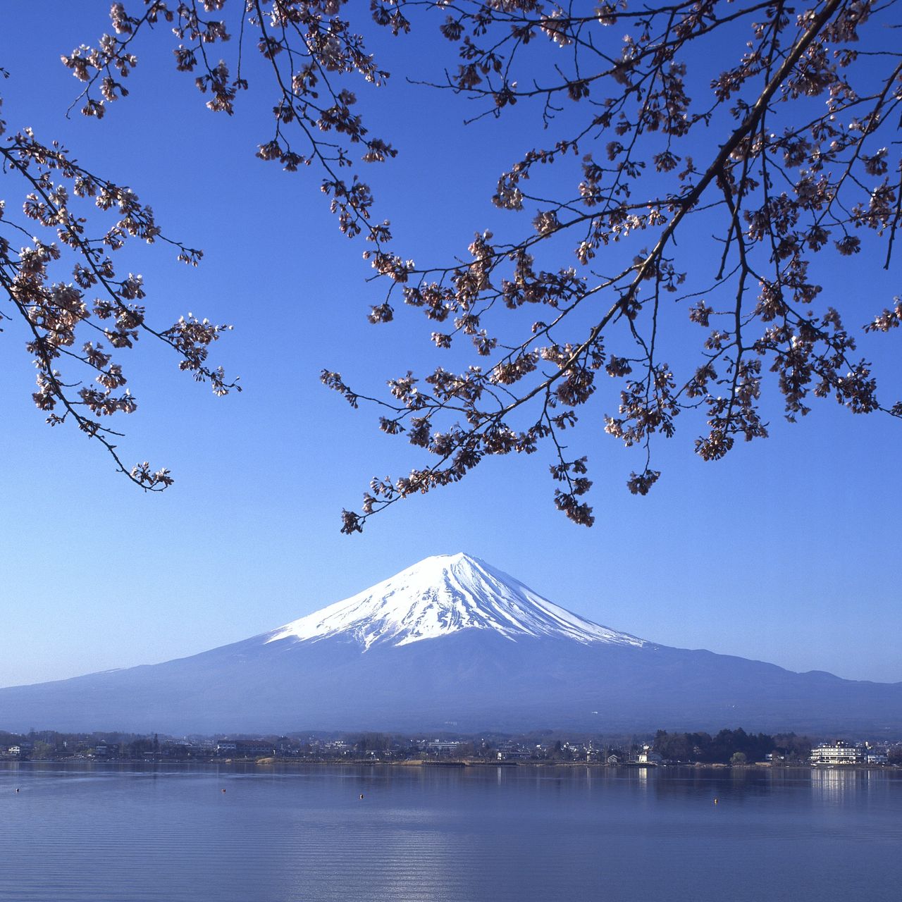 This 71-Year-Old Just Set a Record With His 1,673th Ascent of Mt. Fuji