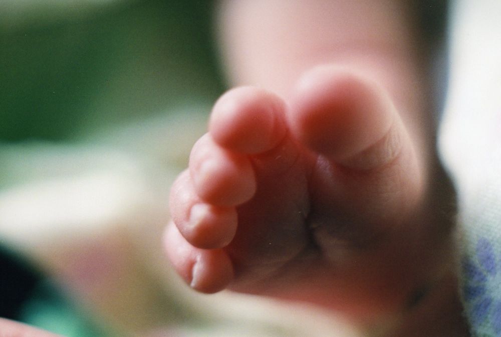 baby toes.jpg