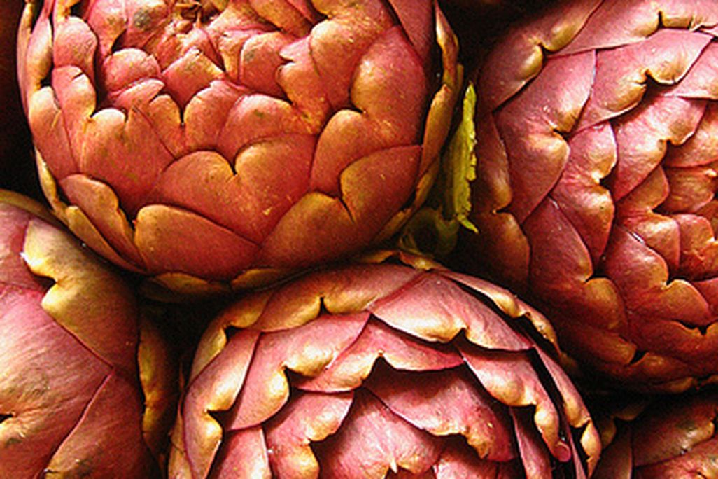 Artichokes