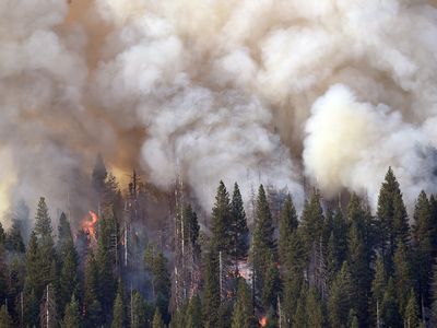 Smoke and flames rise as the forest burns at Yosemite National Park in California on July 10, 2022.