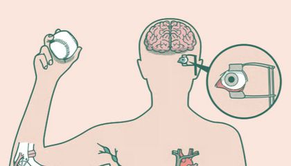 This Playful Interactive Reveals the Medical Advances That Have Made Life Better … and Sometimes Longer