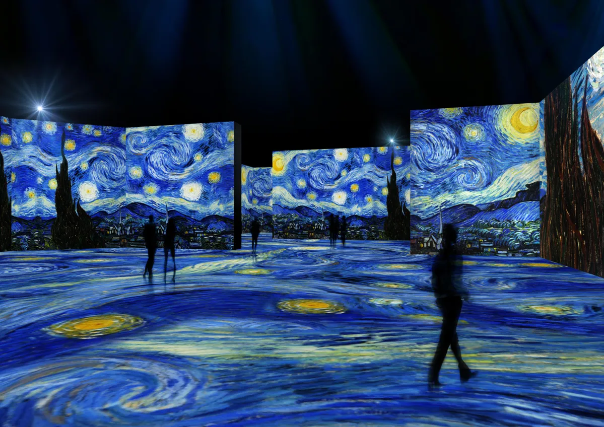 Buy EuroGraphics Starry Night Panorama  Expanded From Original  By Vincent Van Gogh 1000 Piece Puzzle