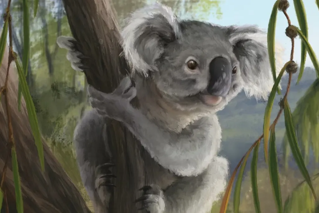 artist's reconstruction of new koala species