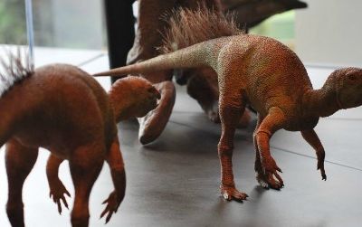 A pair of bristly Fruitadens models on display at the Natural History Museum of Los Angeles