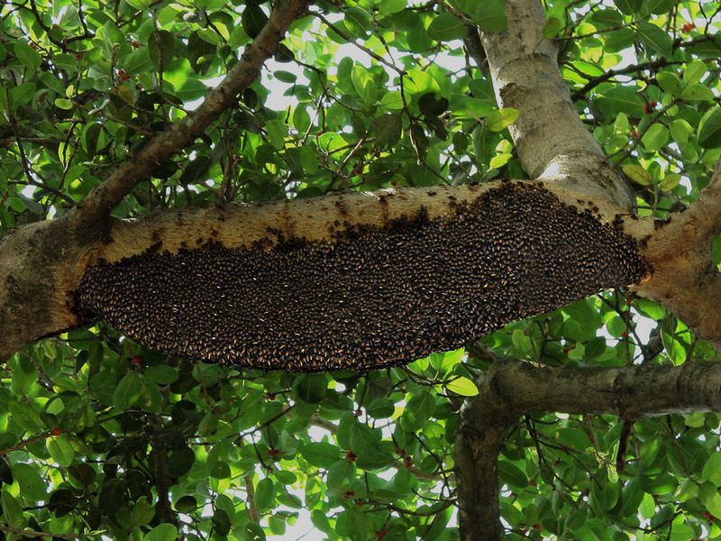 Smithsonian Photo Contest Smithsonian Magazine