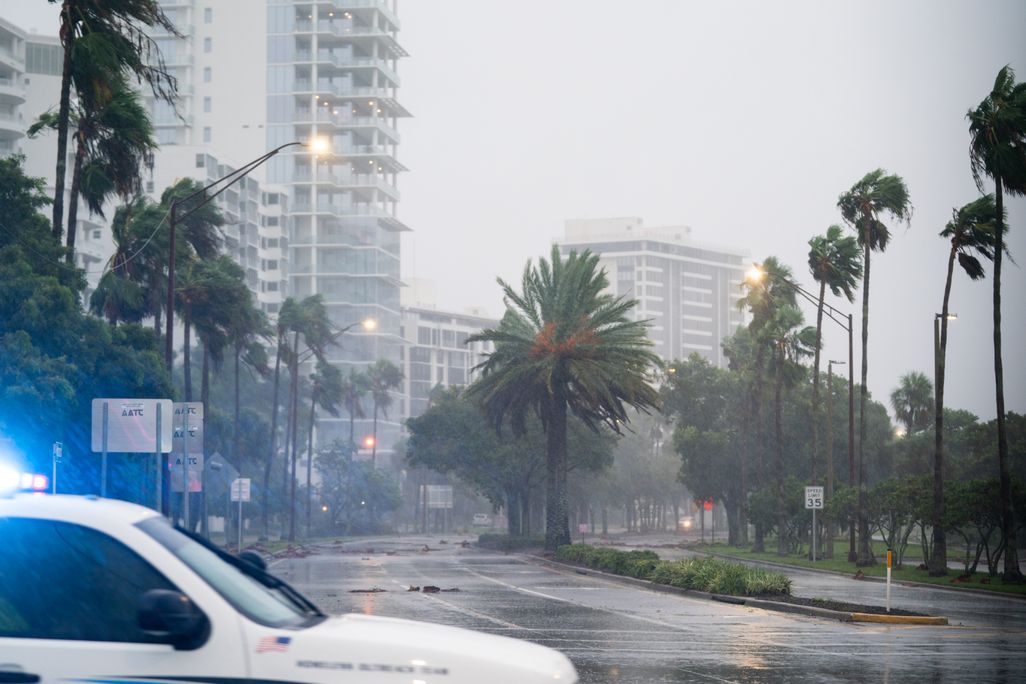 Trees blow in the wind and rain in Sarasota, Florida, as Hurricane Ian nears.