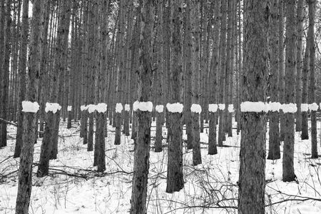 Paul Johnson explores "landthropology" through his nature photography. 