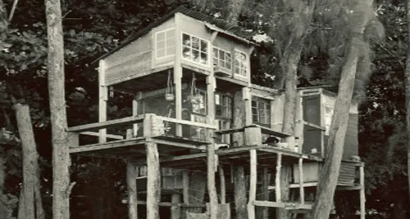A treehouse at Taylor Camp