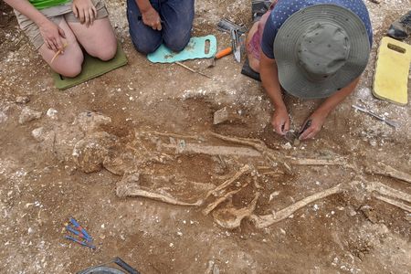 Archaeologists inspect the Anglo-Saxon warlord's grave.