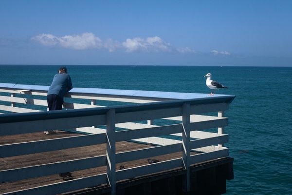 At the End of the San Clemente Pier thumbnail