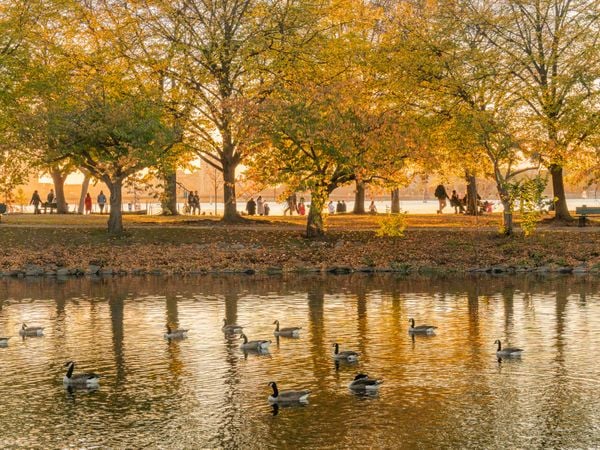 Autumn Afternoon Along the Charles River thumbnail