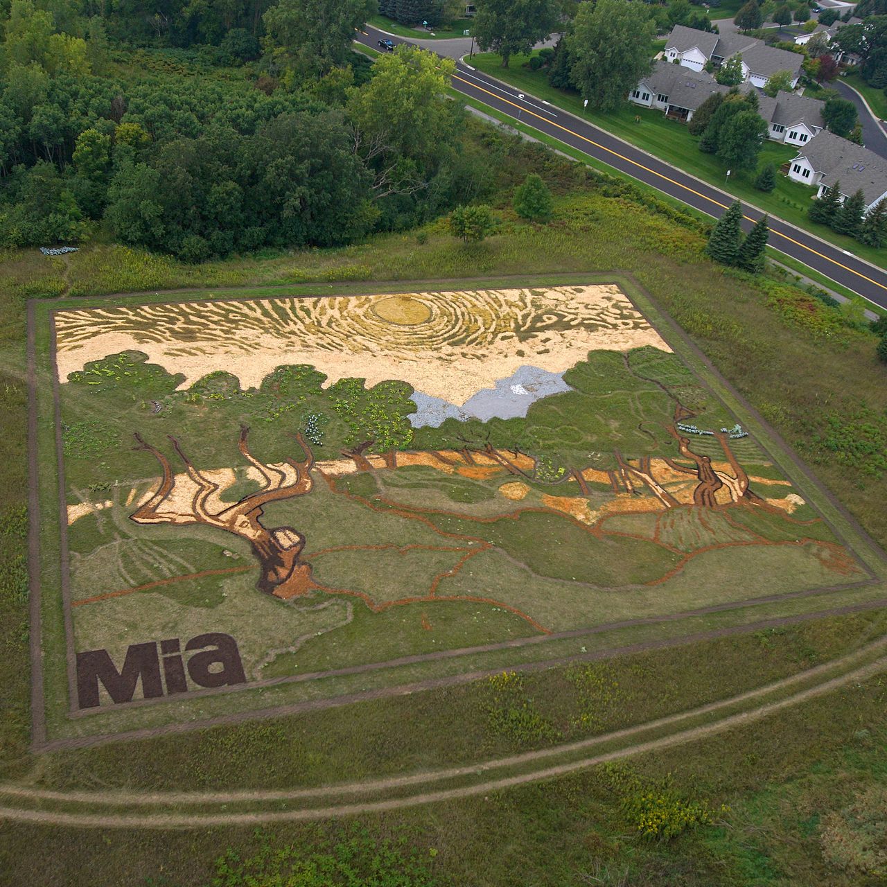 This Giant Van Gogh Painting Is Made of Pumpkins, Watermelons and