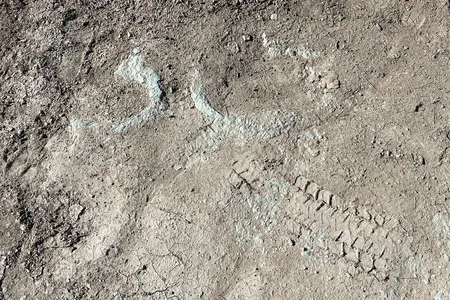 More than 200 preserved footprints trek across the canyon's limestone surface and give clues about what life was like millions of years ago.