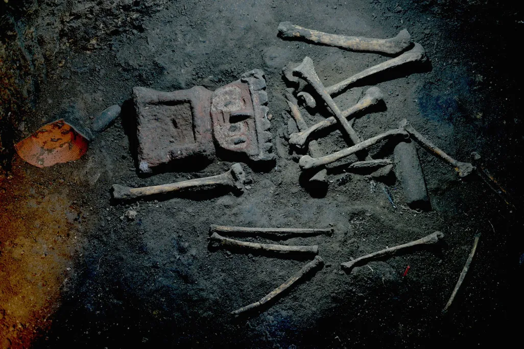 bones