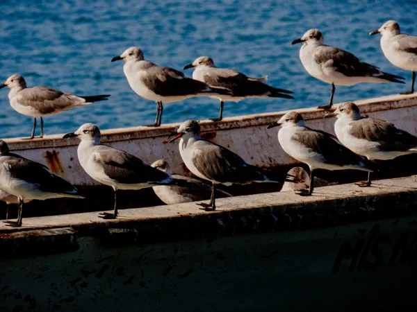 La espera eterna thumbnail