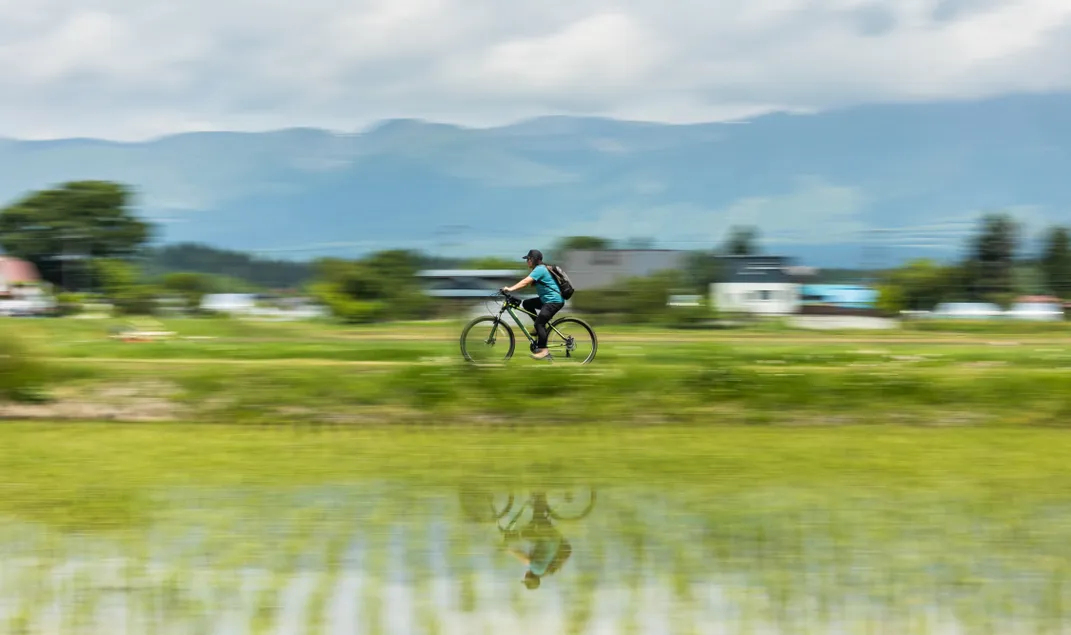 Bicycling along rice paddies