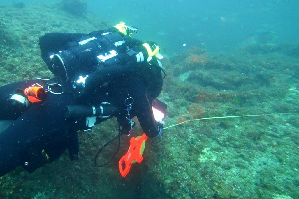 S.S. Cotopaxi
