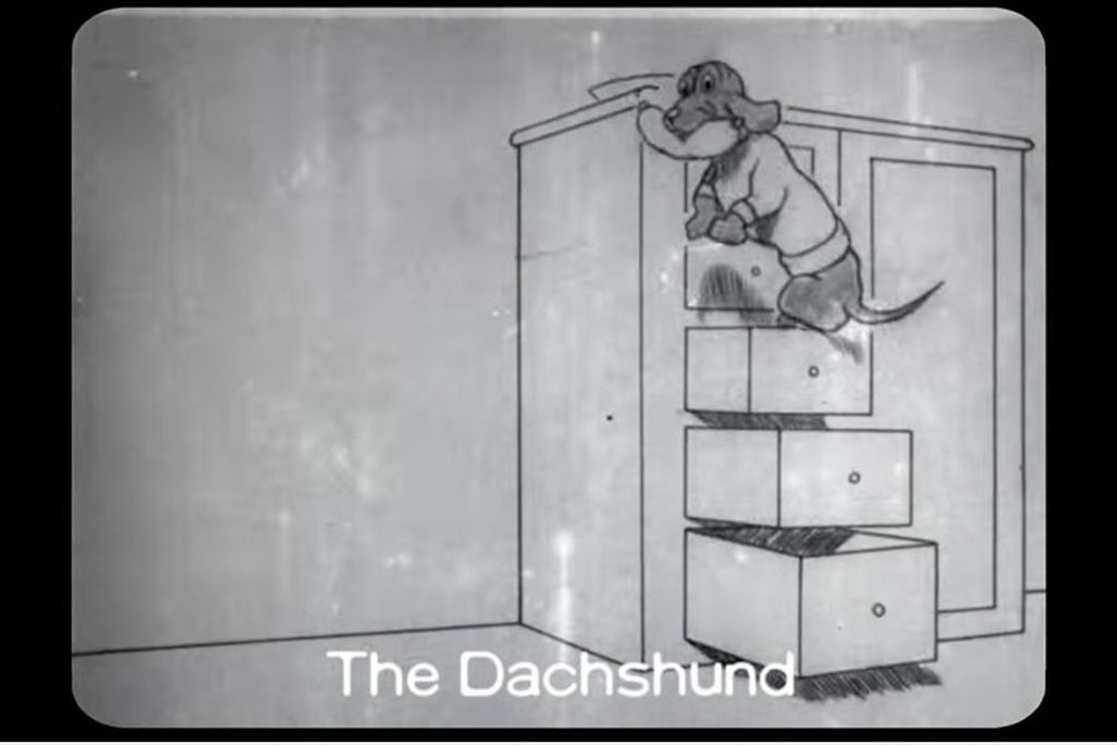 dachshund.PNG