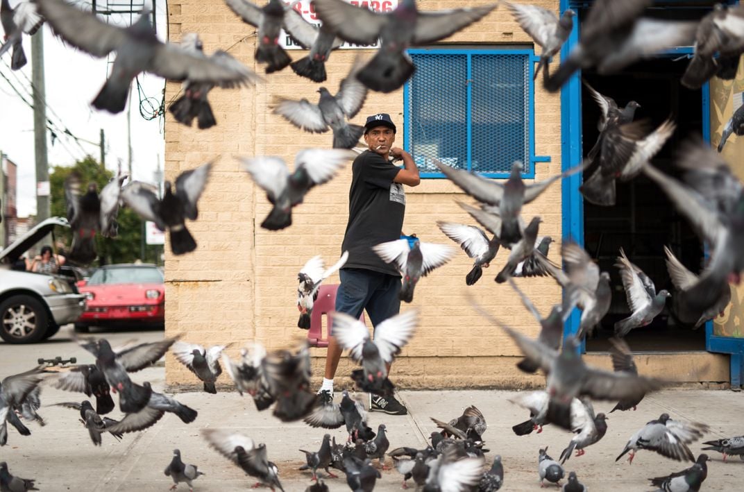 pigeons fly around a man