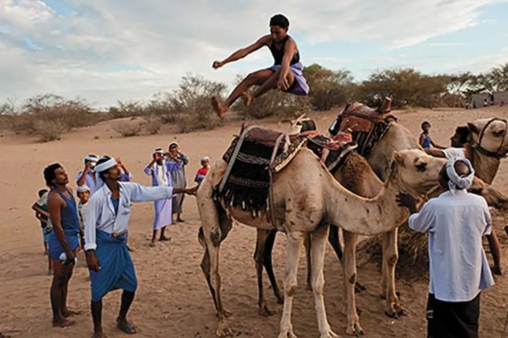Camel jumping