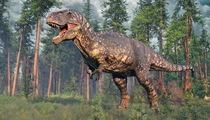 Five Ways the World of the Dinosaurs Looked Different From Ours, Beyond the Presence of the 'Terrible Lizards'