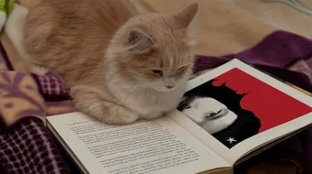 Do you ever peek at the end of a book?