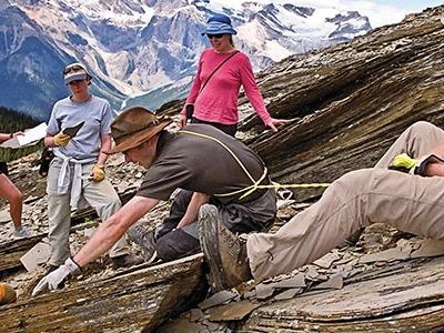 The rich fossil repository known as the Burgess Shale was first discovered a century ago.