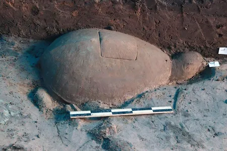 A large sandstone turtle unearthed at last week at the Angkor Wat temple complex