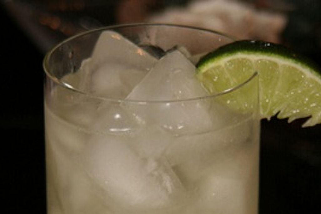 20110719102008gin-rickey2.jpg