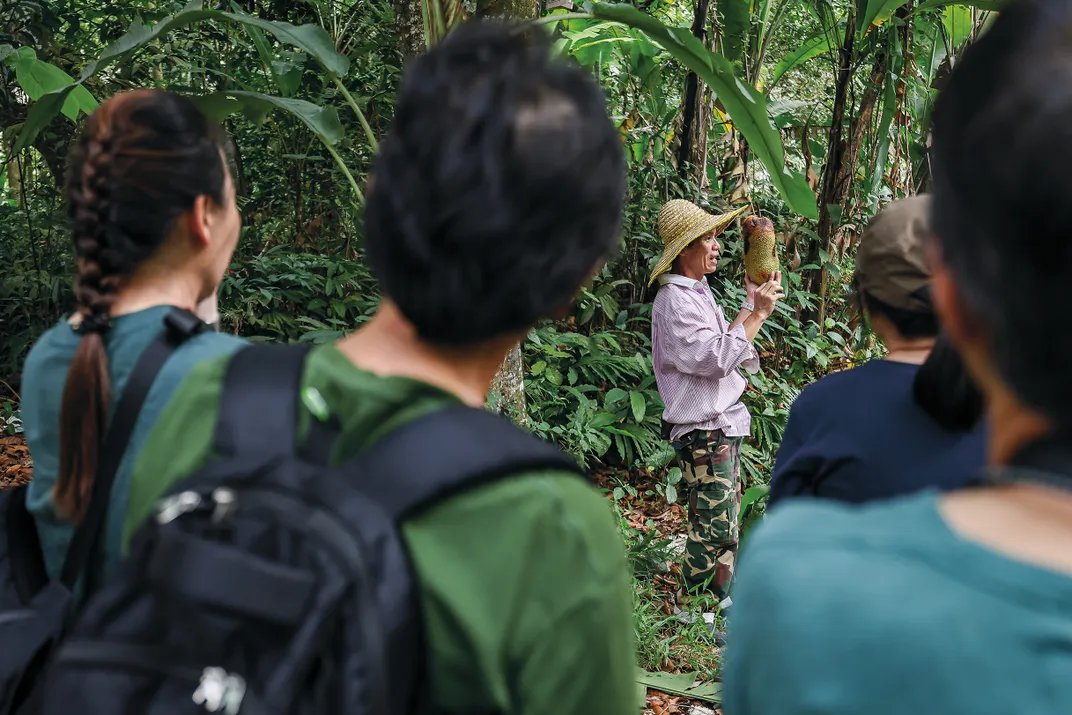 a tour guide