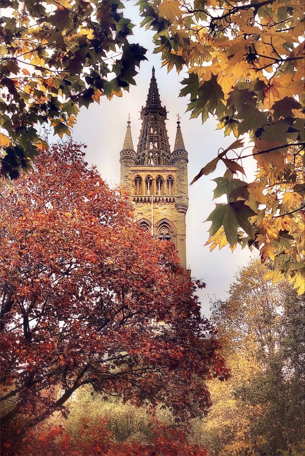 Glasgow University Tower thumbnail