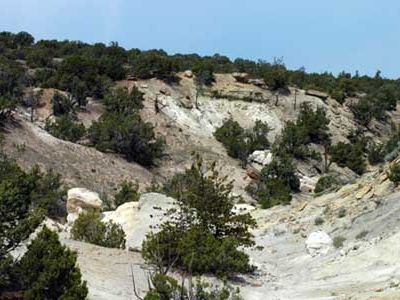 A view of the outcrop