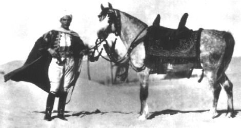 Publicity photo for The Son of the Sheik