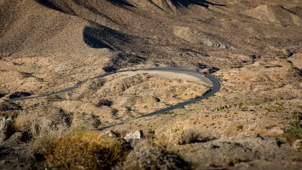 Pines to Palms thumbnail