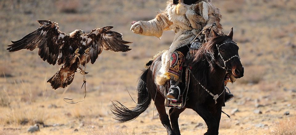  Nomad and his eagle, Mongolia. Taken by Lawrence Smith. 