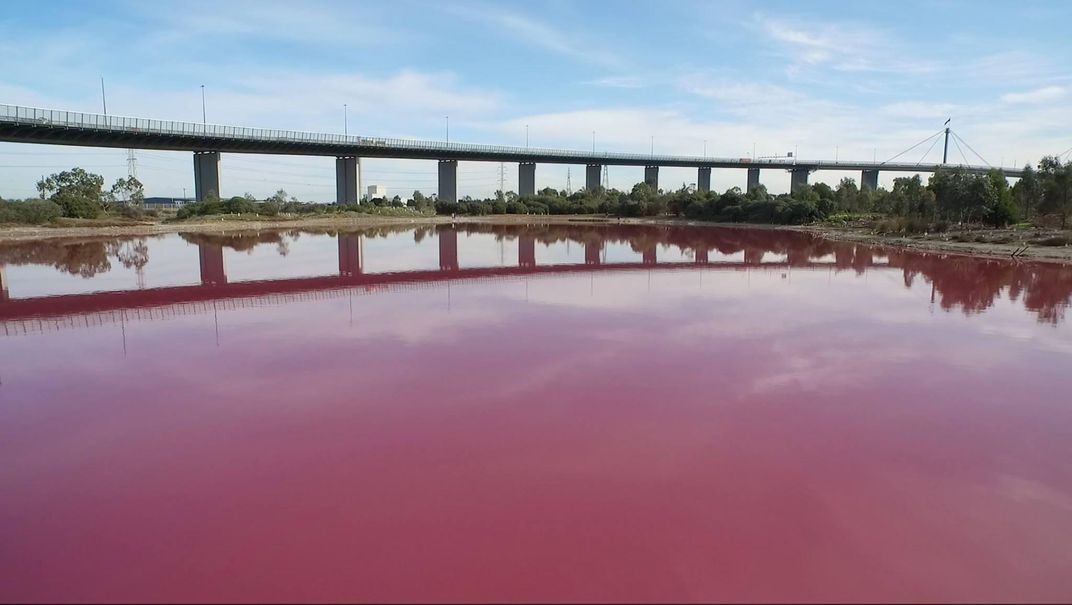 Why Is This Lake in Australia Bright Pink? - Atlas Obscura