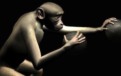 A representation of a virtual monkey, whose arms can be manipulated by a real monkey in a new brain-machine interface—the first interface that allows for the control of multiple limbs.