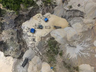 Tree Rings Bear Witness to Illegal Gold Mining Operations in the Amazon, New Study Finds image