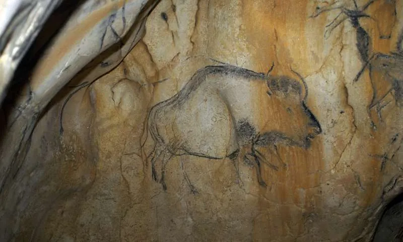 Bison Art