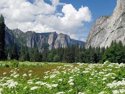 Springtime visitors to Yosemite National Park are treated to sweeping views of lush landscapes.