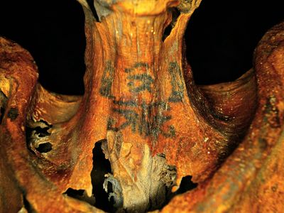 More than 30 tattoos are scattered across this female mummy's skin.