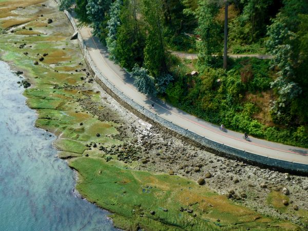 Biking around Stanley Park Seawall, Vancouver, British Columbia, Canada thumbnail