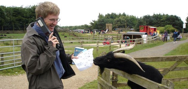 A hungry goat