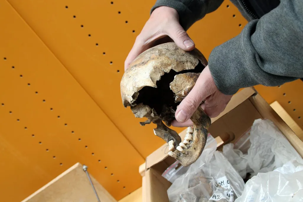 lead skull