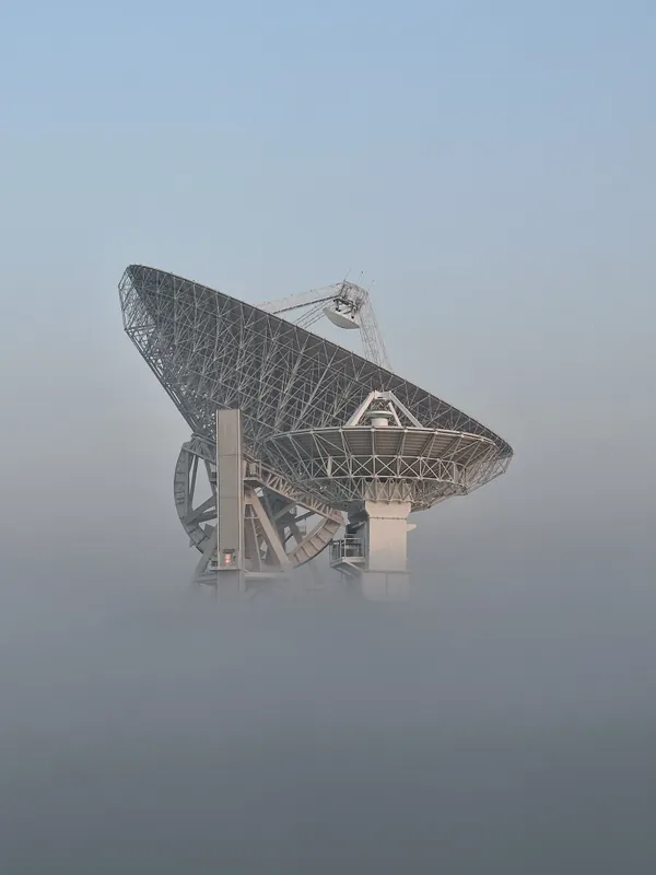 Shanghai Gazes at the Cosmos thumbnail