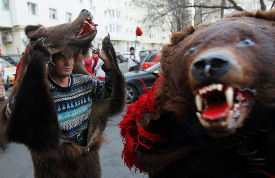 Celebrate World Bear Day! - JSTOR Daily